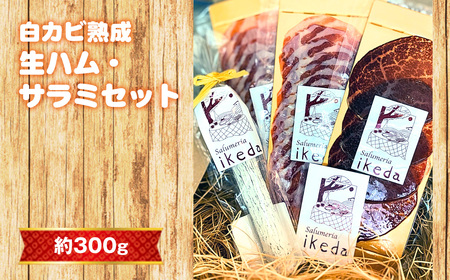 No.442 白カビ熟成　生ハム・サラミセット　約300g
