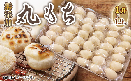 No.515 ۂ1 ^ `   ۖ Y ꌧY qN` Y  m