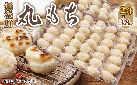 No.519 ۂ2 ^ `   ۖ Y ꌧY qN` Y  m