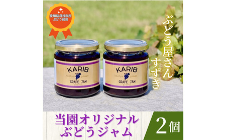 [ぶどう屋さんすずき]当園オリジナル ぶどうジャム 2個 / 巨峰ジャム フルーツ 国産 手作り パンのお供 ヨーグルト トッピング デザートソース 料理 アレンジ 朝食 食品ギフト おしゃれ 甘さ控えめ フルーツソース 愛知県 No.538
