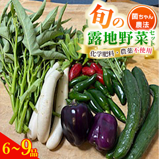 露地野菜 セット [6〜9品] 菌ちゃん農法 旬 化学肥料・農薬不使用 / 野菜セット 旬 無農薬 詰め合わせ 農薬不使用 露地 国産 産地直送 宅配 季節 料理好き 食材 オーガニック 健康 新鮮 愛知県 No.540