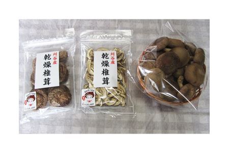 おがっしい[刈谷市小垣江産]生椎茸・乾燥椎茸セット 計約560g