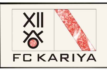 No.319 FCJR{~[gA[gmYOB[XĂp700g