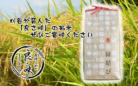 ふるさと納税 郵便 ポスト 鉄製 アイアンポスト 縁結び黒の葡萄 切り株