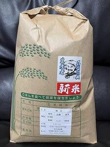 令和6年度産 【新米】コシヒカリ 10kg