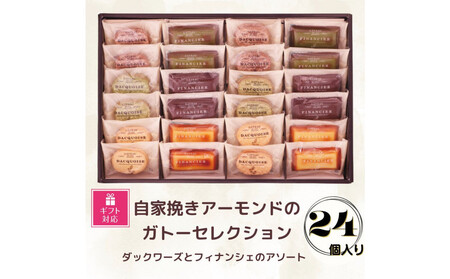 yMtgΉzƔ҂A[h̃Kg[ZNVi24j