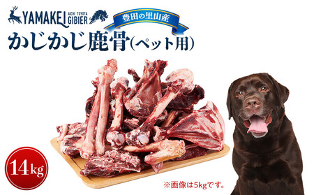 煮込んでスープ、かじって歯磨き鹿骨セット(鹿骨かじかじ14kg)