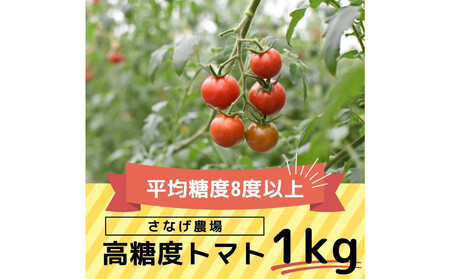 高糖度トマト[瑞甘]1kg