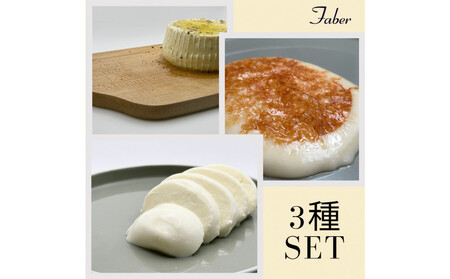＜定期便12回＞【MOFコンテスト金賞受賞】ファーベル3種のチーズセット