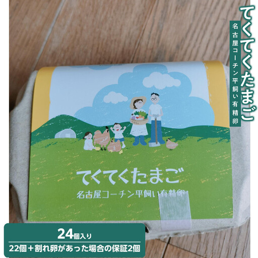 名古屋コーチン平飼い有精卵24個（22個+保証2個）