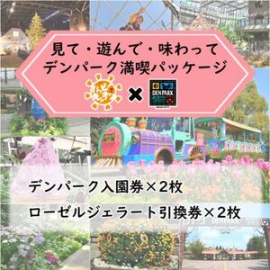 デンパーク入園券2枚+ローゼルジェラート引換券2枚/愛知県安城市