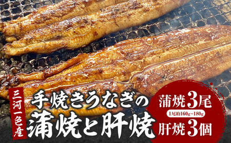 三河一色産手焼きうなぎの蒲焼と肝焼[蒲焼パック冷凍×3尾、肝焼×3個]