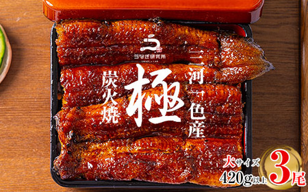 三河一色産うなぎ蒲焼大3尾(420g以上)・R006