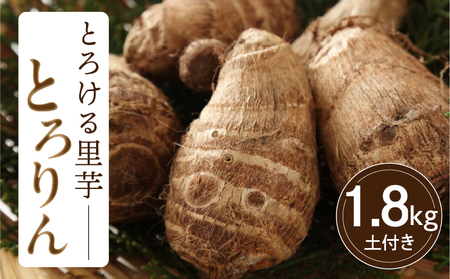 yzƂ낯闢wƂxyt 1.8kgEH063