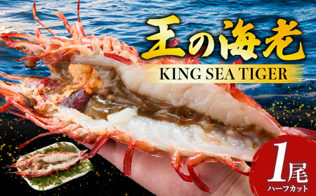 [高級]King Sea Tiger 王の海老 ハーフカット