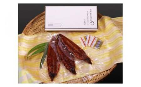 [土用の丑用までにお届け]三河産うなぎ特大サイズ蒲焼×3尾(530g〜550g)国産 三河産 うなぎ蒲焼×3尾(530g〜550g)鰻 ウナギ 国産 本格 鰻 蒲焼き 愛知県 西尾市 愛知養魚 海鮮 惣菜 丑の日 土用の丑の日 ・A087-25