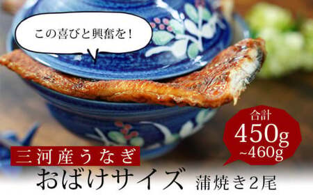 [土用の丑用までにお届け]三河産うなぎ「おばけ蒲焼うなぎ2尾」(2尾合計450〜460g) 鰻 ウナギ うなぎ 蒲焼 国産 うなぎ蒲焼 タレ付き たれ 国産うなぎ 蒲焼き うな丼 丑の日 土用の丑の日・A126-20-c1