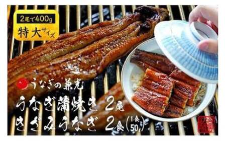 [土用の丑用までにお届け]愛知県三河一色産うなぎ蒲焼き特大サイズ2尾+きざみうなぎ2食入りセット(長焼き尾で400g+ きざみ50g×食) 国産 愛知県産 西尾市 西尾市一色 の兼光 鰻 ウナギ 蒲焼き 惣菜 総菜 タレ付き たれセット 巨大 キザミ 刻み 丑の日 土用の丑の日 ・U022-18