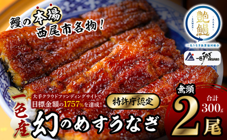 [土用の丑用までにお届け]一色産めすうなぎ無頭長蒲焼2尾(300g)・I059-19-1-c1