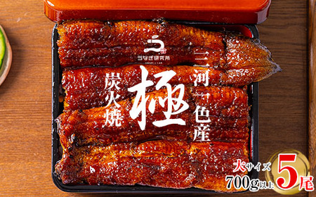 【期間限定】三河一色産うなぎ蒲焼大5尾(計700g以上)・R043-35