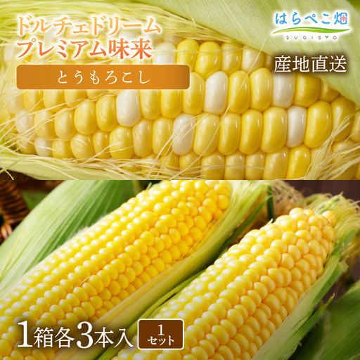 [人気の2品種を食べ比べ]とうもろこし2種各3本×1セット・H073-11