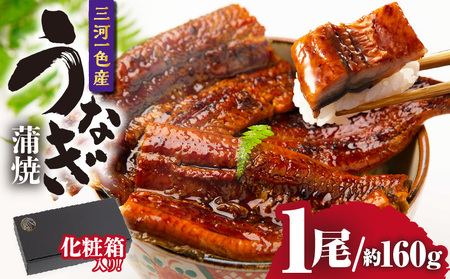 三河一色産うなぎ蒲焼 1尾(約160g)化粧箱入