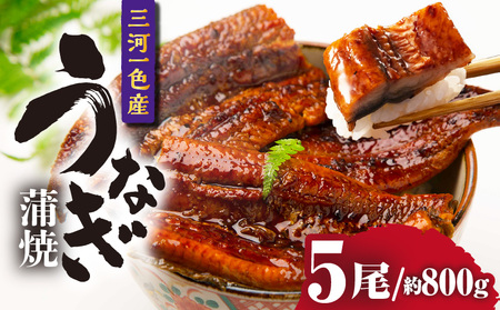 三河一色産うなぎ蒲焼 5尾（約800g）・O069