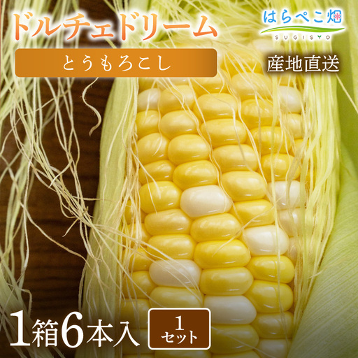 とうもろこし『ドルチェドリーム』(6本入/1箱)1セット