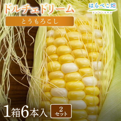 とうもろこし『ドルチェドリーム』(6本入/1箱)2セット