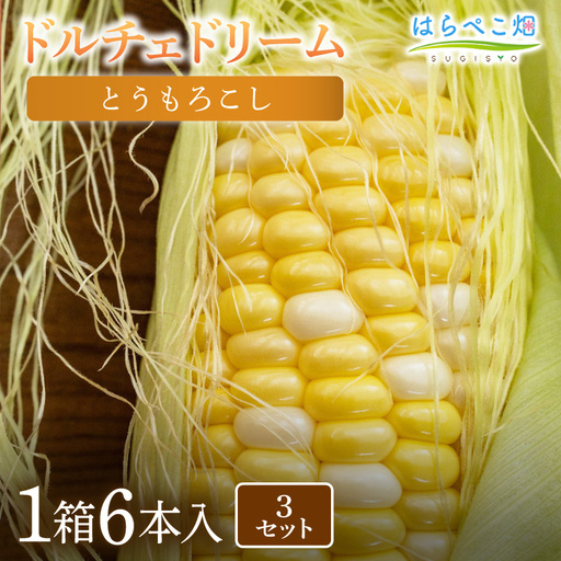とうもろこし『ドルチェドリーム』(6本入/1箱)3セット