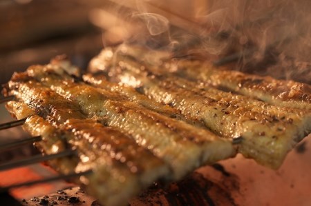 手焼き三河一色産1年うなぎ蒲焼2尾(約280g)・A140-17