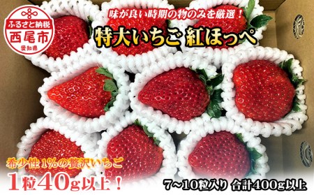 特大いちご(紅ほっぺ) 400g以上(7〜10粒、1粒40g以上)・O036-12