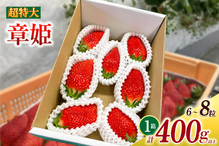 超特大いちご(章姫)　400g以上(6～8粒)×1箱・O039-16