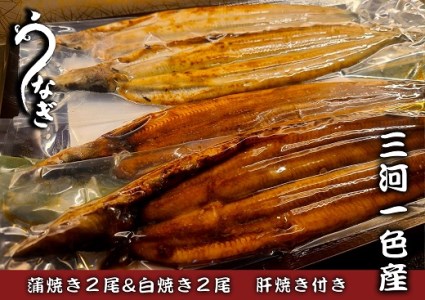 三河一色うなぎ蒲焼き2尾・白焼き2尾 鰻肝焼き付き・F015-30