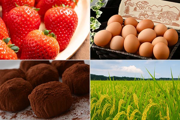 栃木県高根沢町