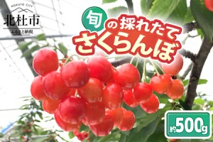 山梨県北杜市からの新着情報一覧 | ふるさと納税サイト「ふるなび」