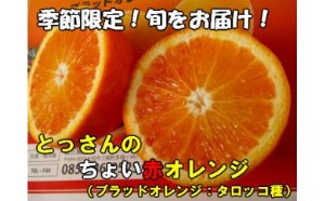 自治体からの新着情報一覧 | ふるさと納税サイト「ふるなび」