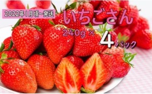 佐賀県有田町からの新着情報一覧 | ふるさと納税サイト「ふるなび」