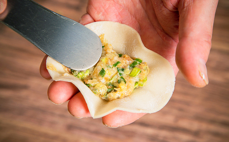 【点心札幌】餃子館の餃子12個入り×4パック