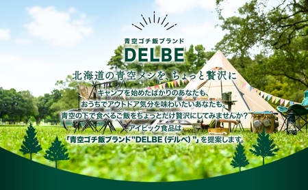 DELBE いももち2食入り× 3個 たれ付き いももち いも もち 芋餅 芋 餅 じゃがいも キャンプ 北海道産 郷土料理 常温 おすすめ ギフト おいしい お取り寄せ 送料無料 北海道 札幌市