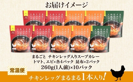 まるごと チキンレッグスープカレー 3種セット 計10パック