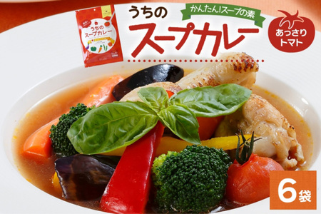スープカレーの素 うちのスープカレー トマト味 2人前×6袋 小分け スープカレー スパイス トマト スープ カレー 簡単 手軽 料理の素 お取り寄せ ギフト ピーアンドピー 送料無料 北海道 札幌市