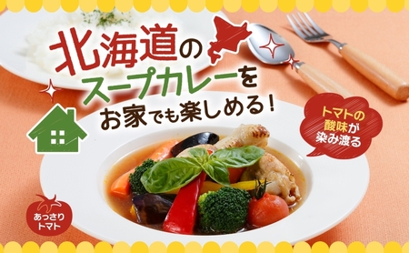 スープカレーの素 うちのスープカレー トマト味 2人前×6袋 小分け スープカレー スパイス トマト スープ カレー 簡単 手軽 料理の素 お取り寄せ ギフト ピーアンドピー 送料無料 北海道 札幌市
