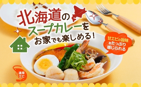 スープカレーの素 うちのスープカレー 濃厚エビ味 2人前×6袋 小分け