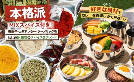 スープカレーの素 うちのスープカレー 濃厚エビ味 2人前×6袋 小分け