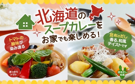 スープカレーの素 うちのスープカレー 2種セットB 計6袋 トマト味 昆布だし和風味 小分け スープカレー スパイス スープ カレー お取り寄せ 簡単 ギフト ピーアンドピー 送料無料 北海道 札幌市