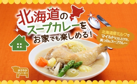 スープカレーの素 うちのスープカレー プレミアム まろやかクリーミー味 2人前×6袋