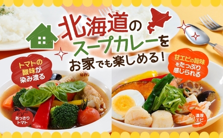 スープカレーの素 うちのスープカレー 2種セットA 計6袋 トマト味 濃厚エビ味 小分け スープカレー スパイス スープ カレー トマト エビ 簡単 ギフト ピーアンドピー 送料無料 北海道 札幌市