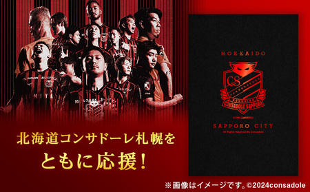 ふるさと納税限定 北海道コンサドーレ札幌 ポストカード 【1/200の確率で選手直筆のサイン入り】