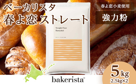 春よ恋ストレート 5kg（2.5kg×2）小麦粉 パン